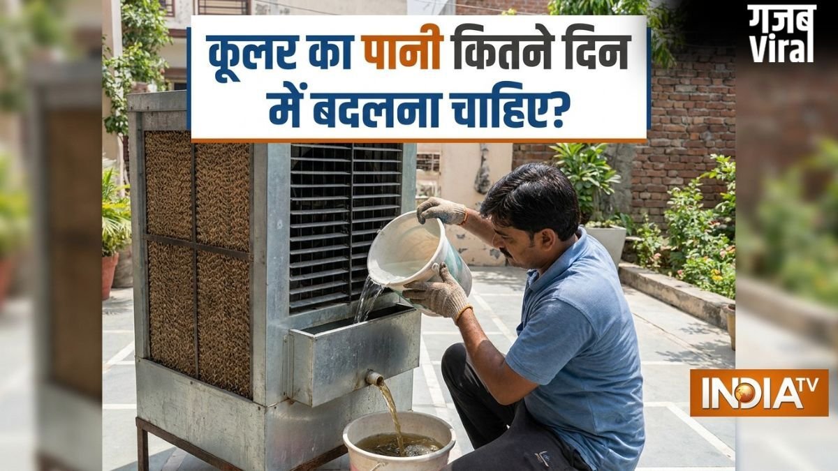 कूलर का पानी कितने दिन में बदलना चाहिए? इतने दिन में बदलने से नहीं होंगे मच्छर, मक्खी​