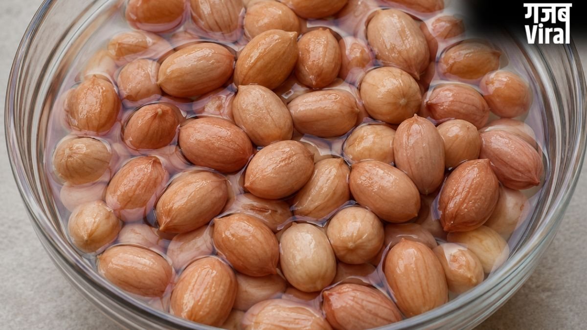 गर्मियों में मूंगफली को भिगोकर खाने से क्या क्या फायदे होते हैं?​