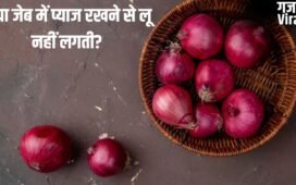 क्या जेब में प्याज रखने से लू नहीं लगती? जानें इसके पीछे की सच्चाई