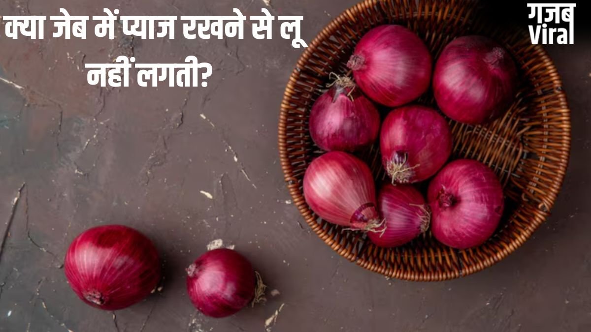 क्या जेब में प्याज रखने से लू नहीं लगती? जानें इसके पीछे की सच्चाई