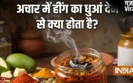 अचार में हींग का धुआं देने से क्या होता है? जानें किन अचारों में दिखा सकते हैं​
