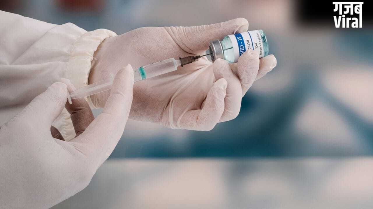 क्या होता है एडल्ट वैक्सीनेशन? ये 3 वैक्सीन लगवाना क्यों है जरूरी