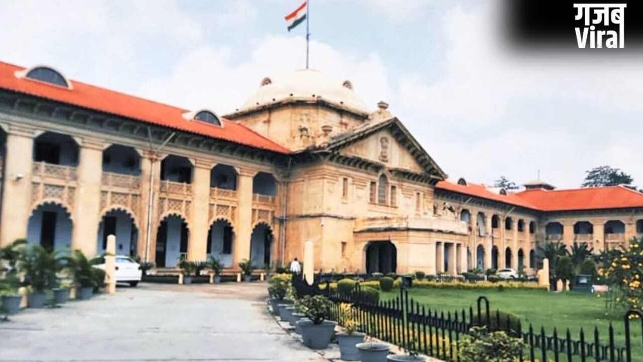‘चाइनीज मांझा’ पर रोक के लिए UP सरकार ने क्या किया, HC ने मांगा जवाब, अगली सुनवाई में सचिव भी तलब​