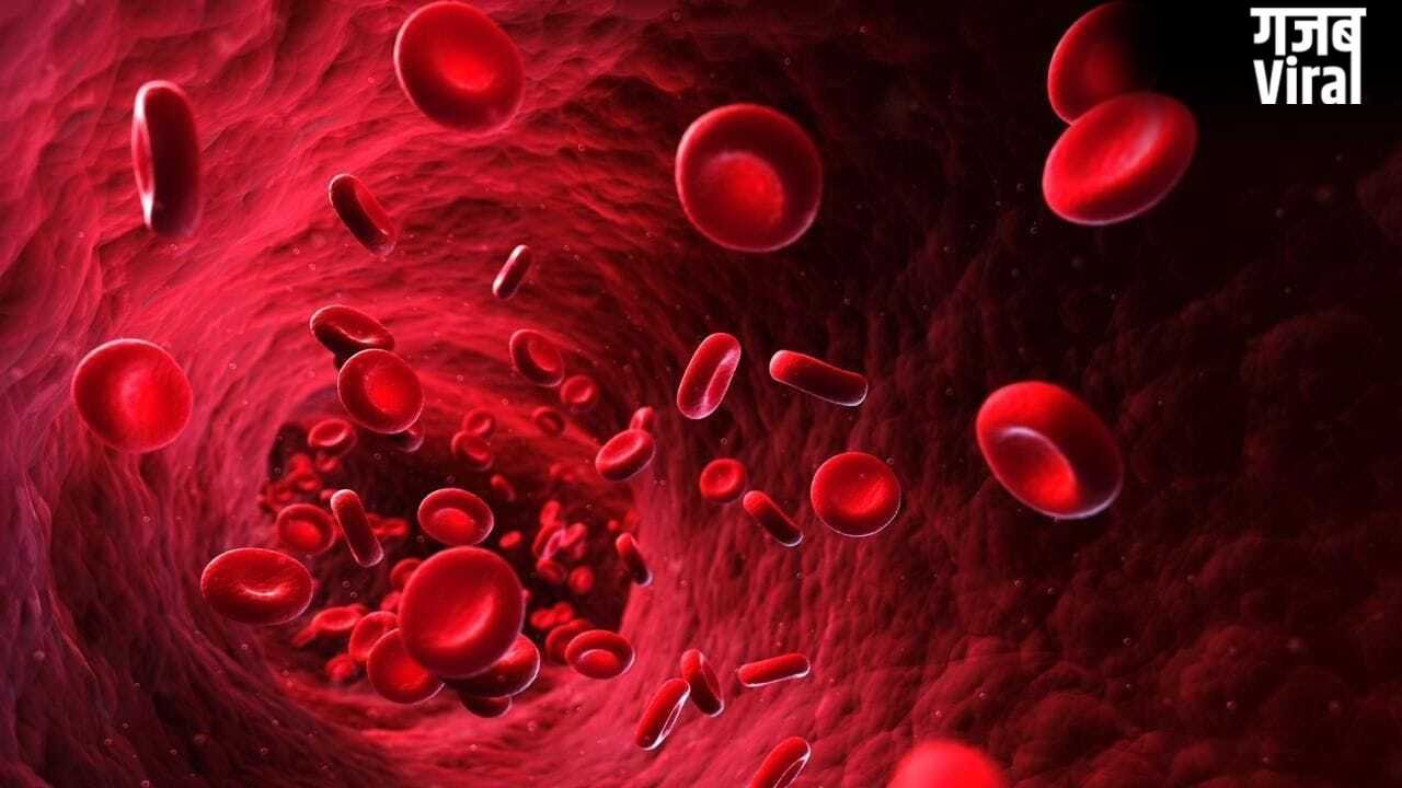 छोटे बच्चों में खून की कमी क्यों होती है? क्या हैं शुरुआती लक्षण