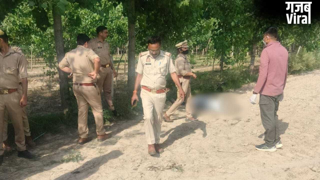 चोट के निशान और खून से सना चेहरा…. बरेली में खेत में मिली छात्रा की लाश से दहशत​