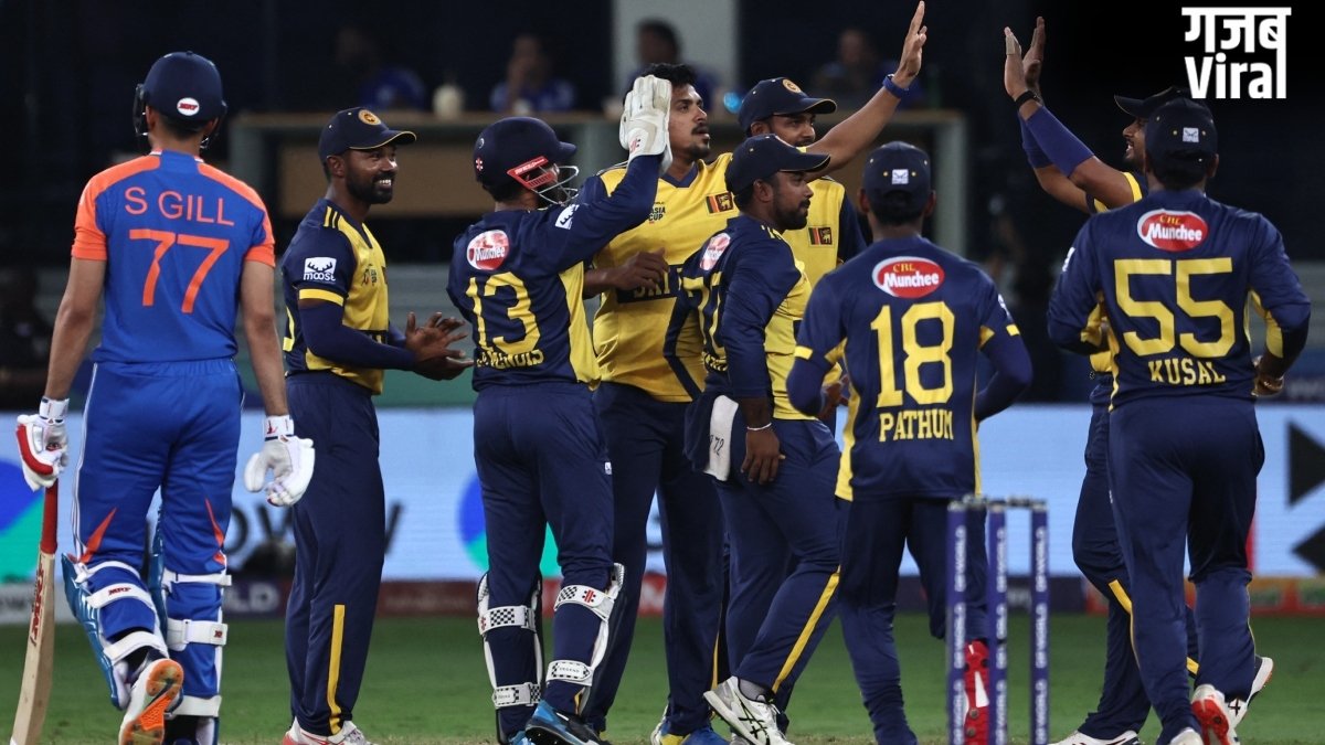 ODI वर्ल्ड कप और WTC की तैयारी के बीच अहम दौरे का ऐलान, तीनों फॉर्मेट में खेले जाएंगे कुल 8 मैच