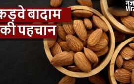 कड़वे बादाम की पहचान कैसे करें, स्वाद के अलावा बनावट में होता है अंतर, खरीदते वक्त ध्यान रखें ये टिप्स​
