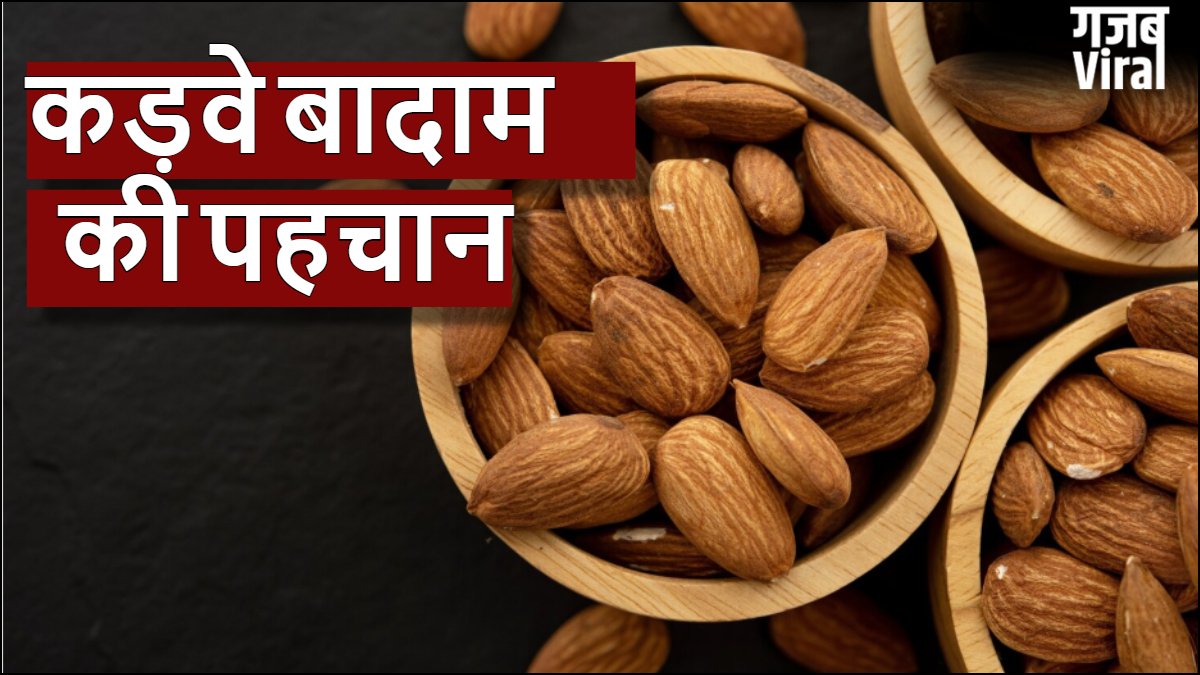 कड़वे बादाम की पहचान कैसे करें, स्वाद के अलावा बनावट में होता है अंतर, खरीदते वक्त ध्यान रखें ये टिप्स​