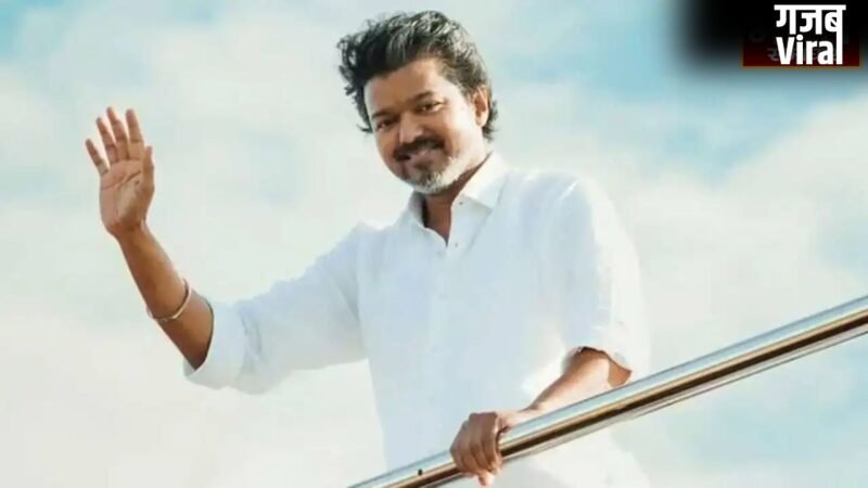 Tamil Nadu Elections 2026: विजय के पास 108 सीटें, जानें किन छोटे दलों के हाथ में सरकार की चाबी?