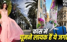 Cannes Tourist Places: ओल्ड टाउन से लेरिन्स आईलैंड तक…कांस में घूमने की ये जगहें हैं बेस्ट​