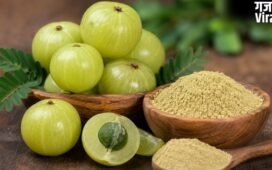 सेहत के लिए उपयोगी है आंवला! कच्चा आंवला, पाउडर या सूखा आंवला? एक्सपर्ट से जानिए सेहत के लिए कौन है सबसे ज्यादा फायदेमंद​