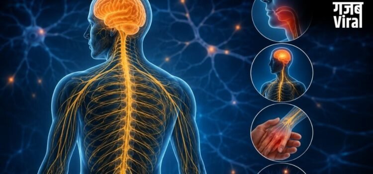 क्या आपकी नसें कमजोर हो रही हैं? न्यूरोलॉजिस्ट से जानिए नर्वस सिस्टम की सेहत जांचने का 1 मिनट का टेस्ट​