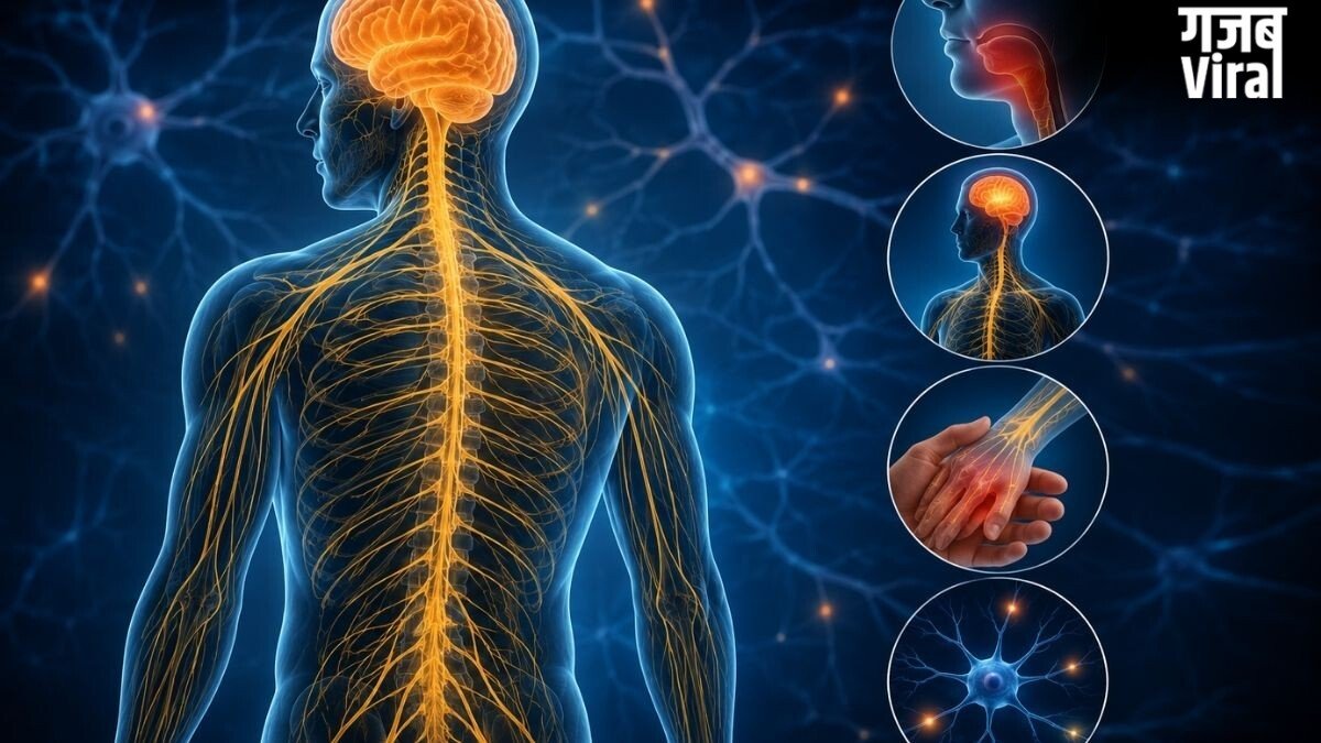 क्या आपकी नसें कमजोर हो रही हैं? न्यूरोलॉजिस्ट से जानिए नर्वस सिस्टम की सेहत जांचने का 1 मिनट का टेस्ट​