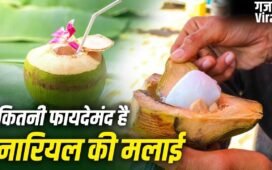 Coconut Malai Nutrients: क्या नारियल की मलाई भी देती है शरीर को फायदे? जानें इसके पोषक तत्व