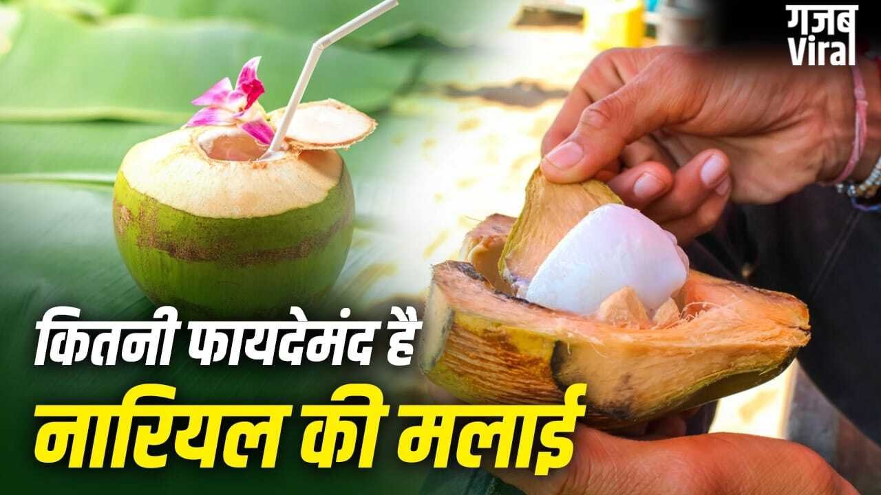 Coconut Malai Nutrients: क्या नारियल की मलाई भी देती है शरीर को फायदे? जानें इसके पोषक तत्व