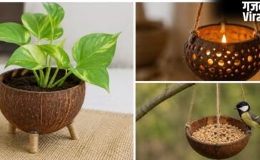 नारियल के खोल से बनाएं ये 5 खूबसूरत चीजें, घर के कोने को सजाने में आएंगी काम​