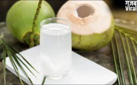 खाने से कितनी देर पहले और कितनी देर बाद पीना चाहिए नारियल पानी?