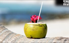 नारियल पानी खोलने के बाद कितनी देर में खराब होता है, Coconut Water की शेल्फ लाइफ कितनी होती है