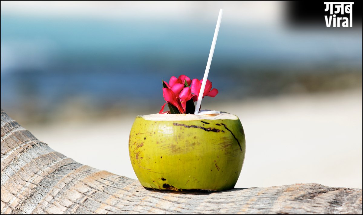 नारियल पानी खोलने के बाद कितनी देर में खराब होता है, Coconut Water की शेल्फ लाइफ कितनी होती है