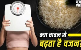 Weight Gain Problem: क्या रोजाना चावल खाने से वजन बढ़ता है? एक्सपर्ट से जानें पूरा सच