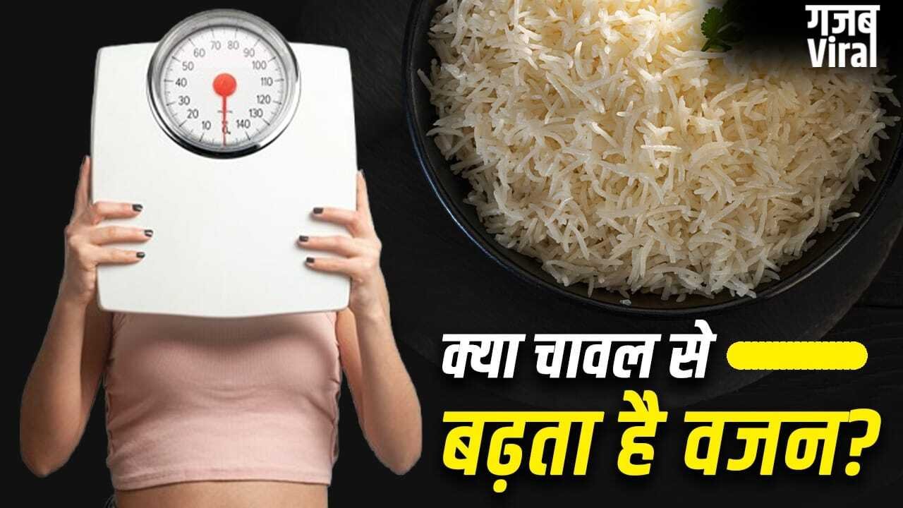 Weight Gain Problem: क्या रोजाना चावल खाने से वजन बढ़ता है? एक्सपर्ट से जानें पूरा सच