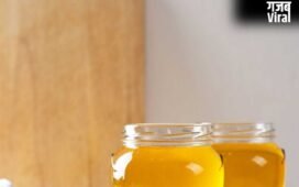 Desi Ghee Eating Tips: भारतीयों का फेवरेट देसी घी क्या सच में मोटा करता है, एक्सपर्ट से जानें​