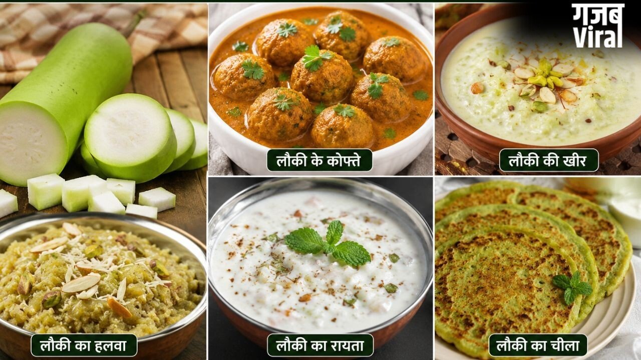 रोज की सब्जी से हटकर ट्राई करें लौकी से बनी ये 5 डिशेज, बोरिंग खाने में भी आ जाएगा स्वाद