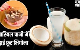 Dry Fruit Soaked In Coconut Water: क्या नारियल पानी में ड्राई फ्रूट्स को भिगोकर खाने से दोगुने फायदे मिलते हैं? एक्सपर्ट ने बताया