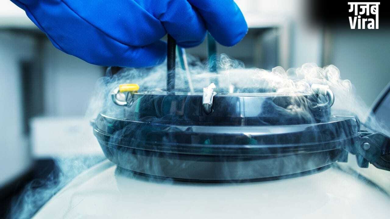 Egg Freezing के बाद अगर महिला अंडों का इस्तेमाल न करे तो क्या होता है? जानिए एक्सपर्ट्स क्या कहते हैं​