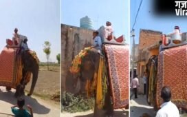 बचपन से देखा सपना, फिर ऐसे किया पूरा… लाखों रुपए खर्च कर राजस्थान से लाया मेरठ; हाथी पर बैठकर बारात लेकर निकला दूल्हा