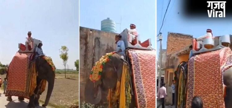 बचपन से देखा सपना, फिर ऐसे किया पूरा… लाखों रुपए खर्च कर राजस्थान से लाया मेरठ; हाथी पर बैठकर बारात लेकर निकला दूल्हा