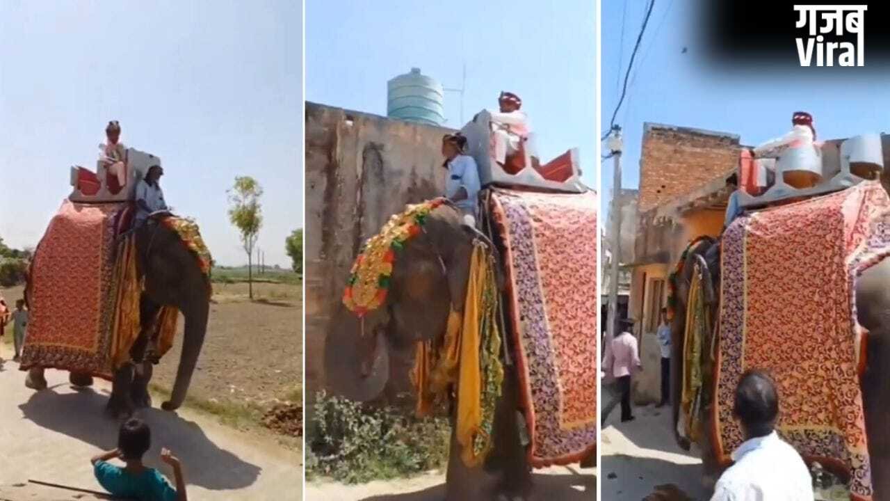 बचपन से देखा सपना, फिर ऐसे किया पूरा… लाखों रुपए खर्च कर राजस्थान से लाया मेरठ; हाथी पर बैठकर बारात लेकर निकला दूल्हा