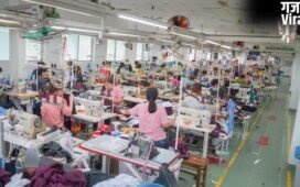 बड़े उद्योगों से MSMEs को समय पर भुगतान करने की अपील, CEA बोले- कार्यशील पूंजी की जरूरतें पूरी होना जरूरी​