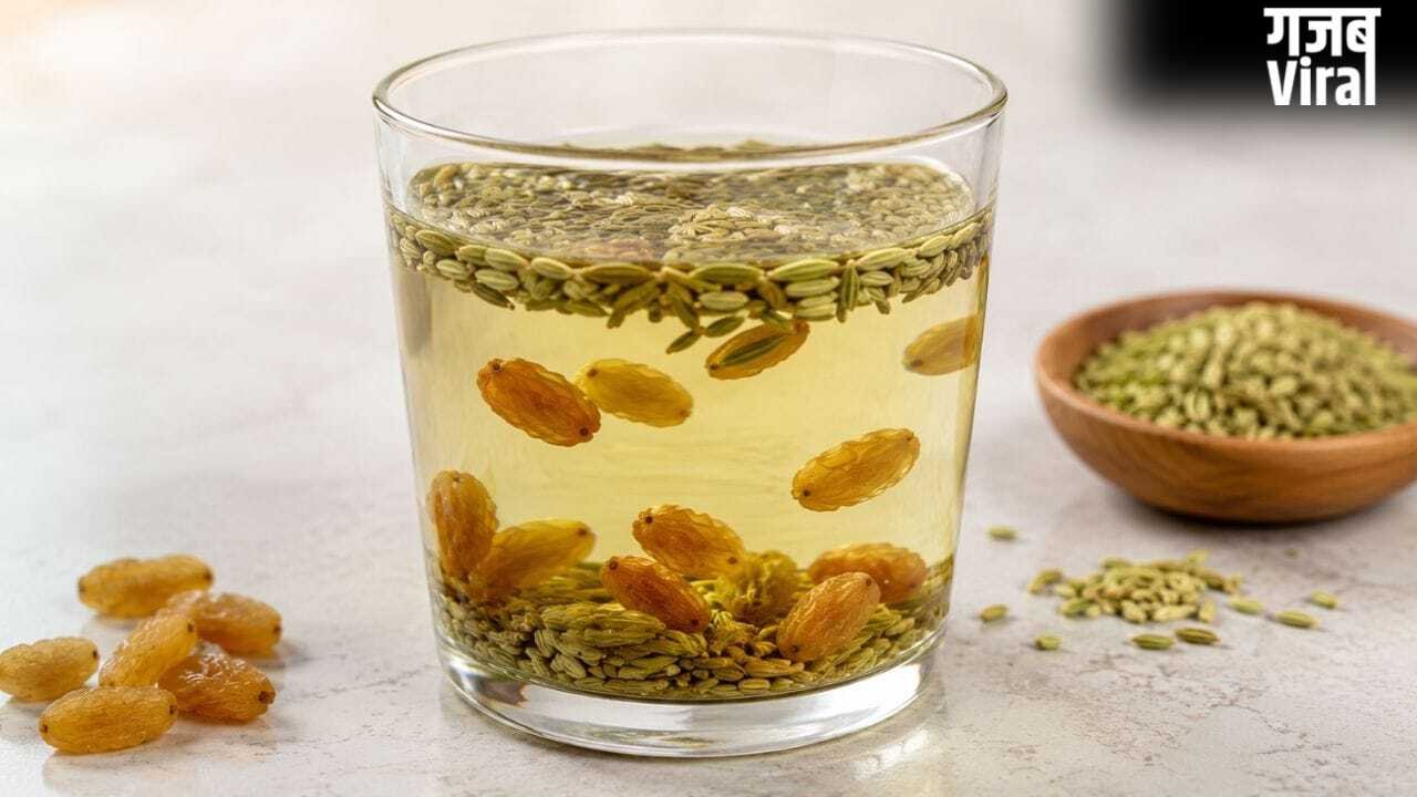 Raisin Fennel And Water: गर्मियों में रोजाना किशमिश और सौंफ का पानी पीने से क्या होता है?​