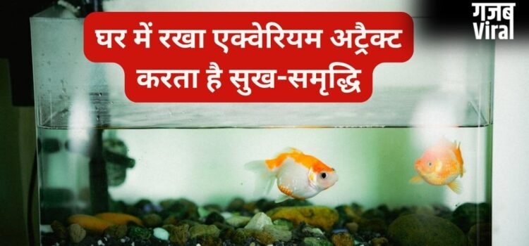 घर में सही दिशा में रखें एक्वेरियम तो खुद चलकर आता है पैसा, गलत जगह बन सकती है नुकसान, जानिए वास्तु नियम