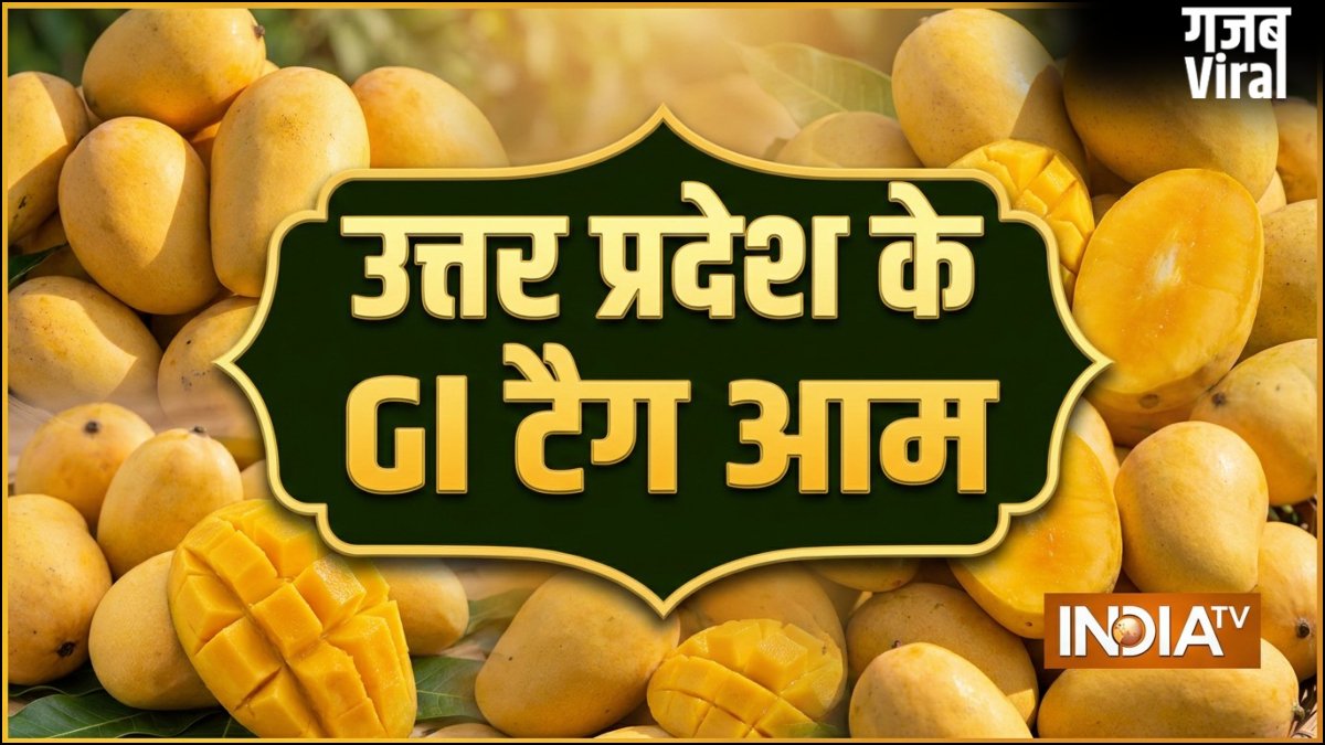 उत्तर प्रदेश के इन आम को मिल चुका है GI टैग, देश विदेश में है मांग, शहद सा मीठा होता है स्वाद​