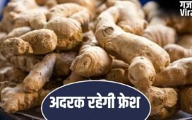 गर्मियों में जल्दी सूख जाती है अदरक, फॉलो करें ये टिप्स…हफ्तेभर रहेगी फ्रेश​
