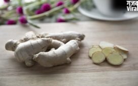 Ginger Storage Tips: अदरक फेंकने की नौबत नहीं आएगी, ये Smart Storage Tips महीनों तक रखेंगे Fresh​