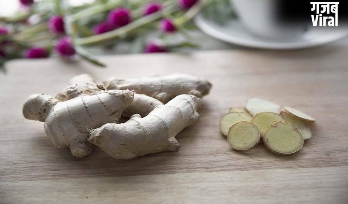 Ginger Storage Tips: अदरक फेंकने की नौबत नहीं आएगी, ये Smart Storage Tips महीनों तक रखेंगे Fresh​