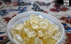 Cooling Food for Summer: फल-सब्जियां ही नहीं…नेचुरली बॉडी हीट कम करते हैं ये पांच फूड, जान लें खाने का सही तरीका​