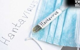 Hanta Virus: क्या हंता वायरस बनेगा बड़ा खतरा? एक्सपर्ट से जानें