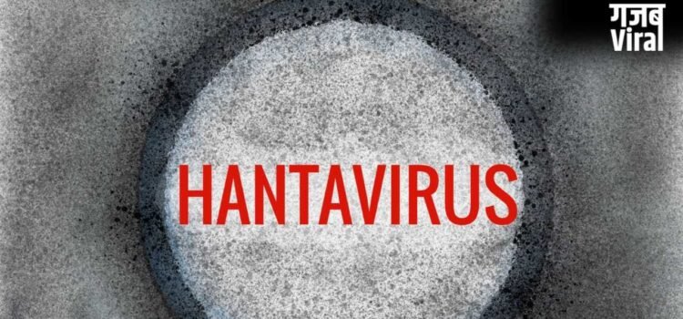 नया नहीं है Hantavirus, इस देश में पहले भी आ चुके हैं कई केस, जानें कितना है खतरनाक​
