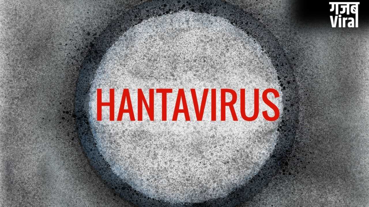 नया नहीं है Hantavirus, इस देश में पहले भी आ चुके हैं कई केस, जानें कितना है खतरनाक​