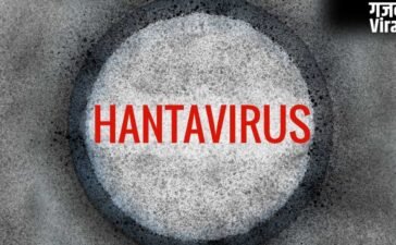 क्या है Hantavirus, WHO ने जताई ह्यूमन ट्रांसमिशन की आशंका, 3 की मौत