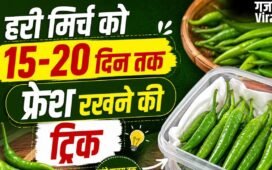 हरी मिर्च को लंबे समय तक फ्रेश रखने के तरीके, सूखने और सड़ने से बचाने के लिए अपनाएं ये ट्रिक्स​