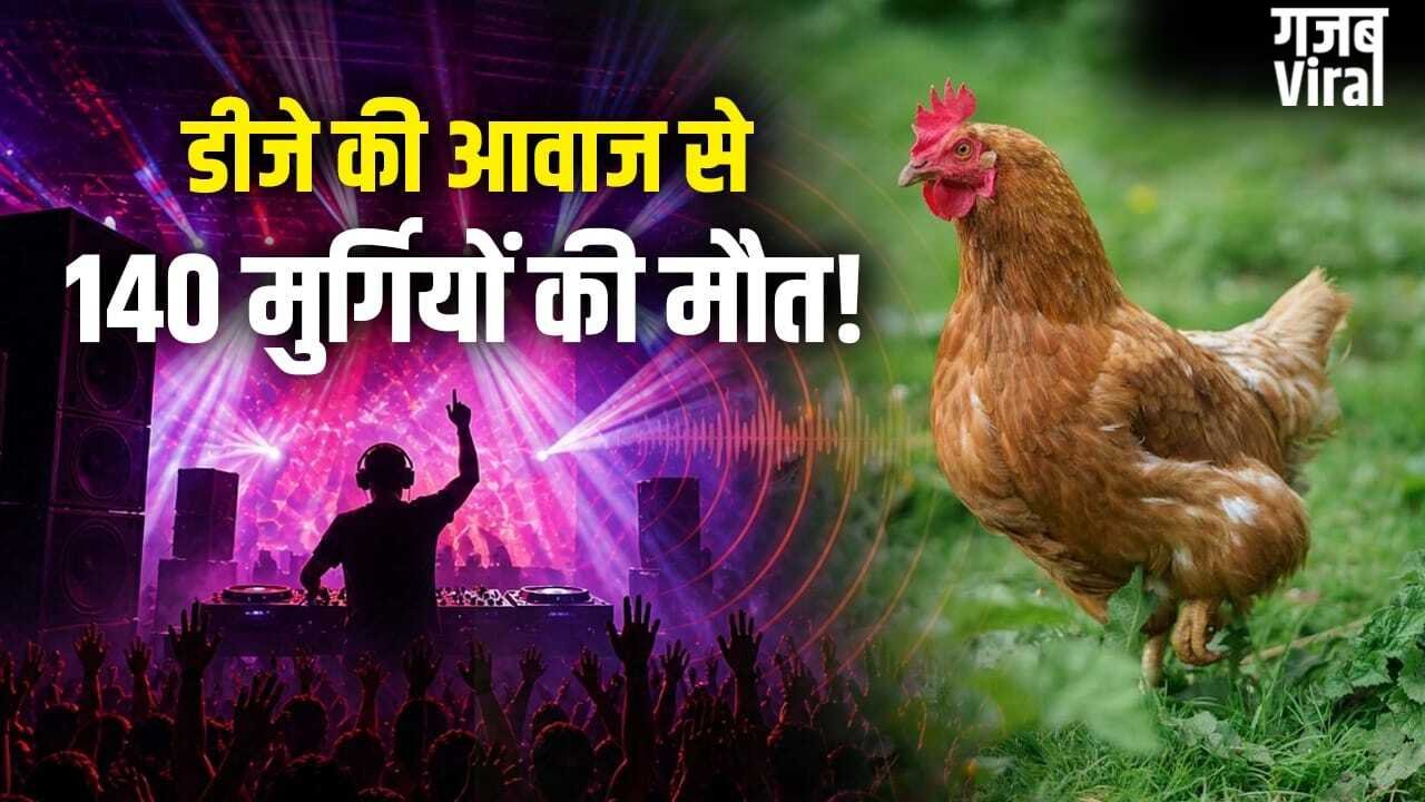 DJ की कितनी तेज आवाज इंसान हो या पक्षी, सबके लिए जानलेवा? सुल्तानपुर में 140 मुर्गियों की मौत से उठा सवाल
