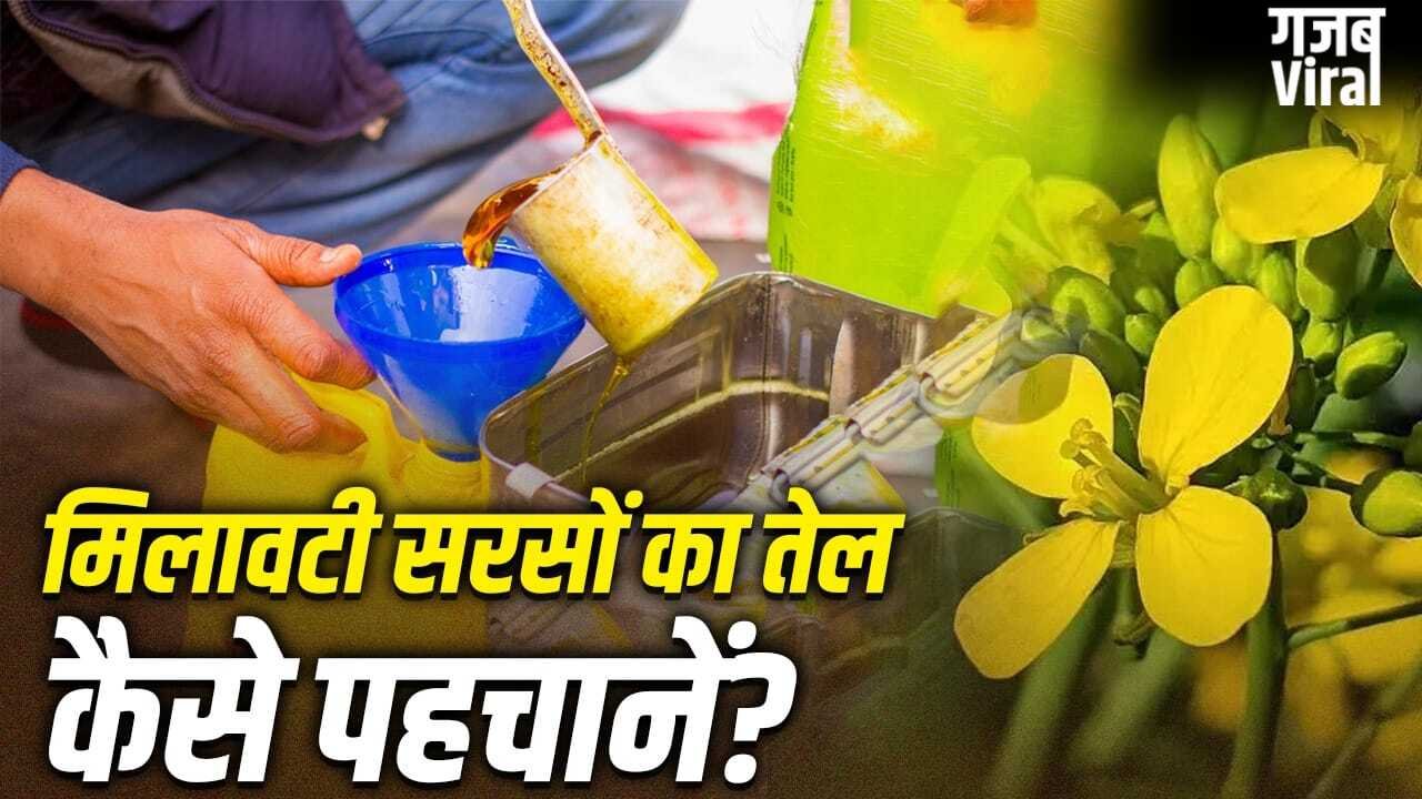 सब्जी में मिलावटी सरसों के तेल से छौंक तो नहीं लगा रहे आप, ऐसे करें शुद्धता की पहचान​