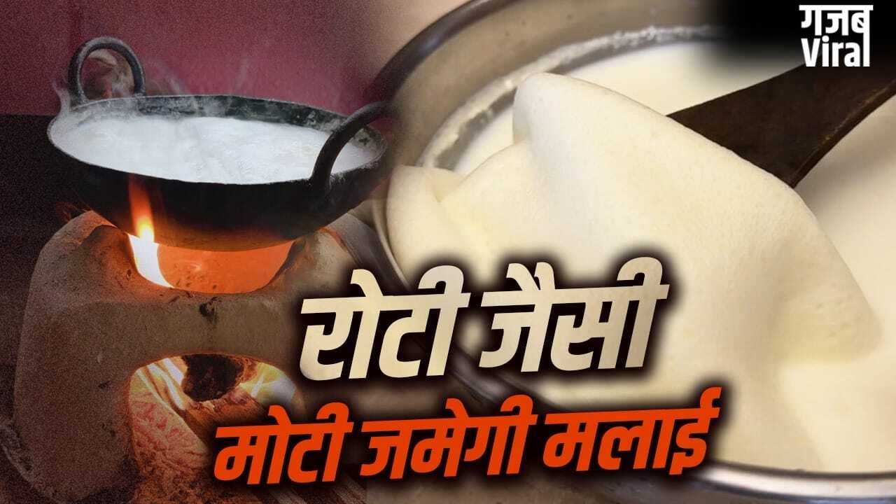 दूध पर जमेगी मोटी मलाई! देसी घी निकलेगा ढेर सारा…फॉलो करें ये टिप्स​