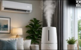 AC के साथ क्या ह्यूमिडफायर लेना जरूरी है, सूखी ठंडी हवा बढ़ा सकती है परेशानी, हो सकती हैं ये समस्याएं​