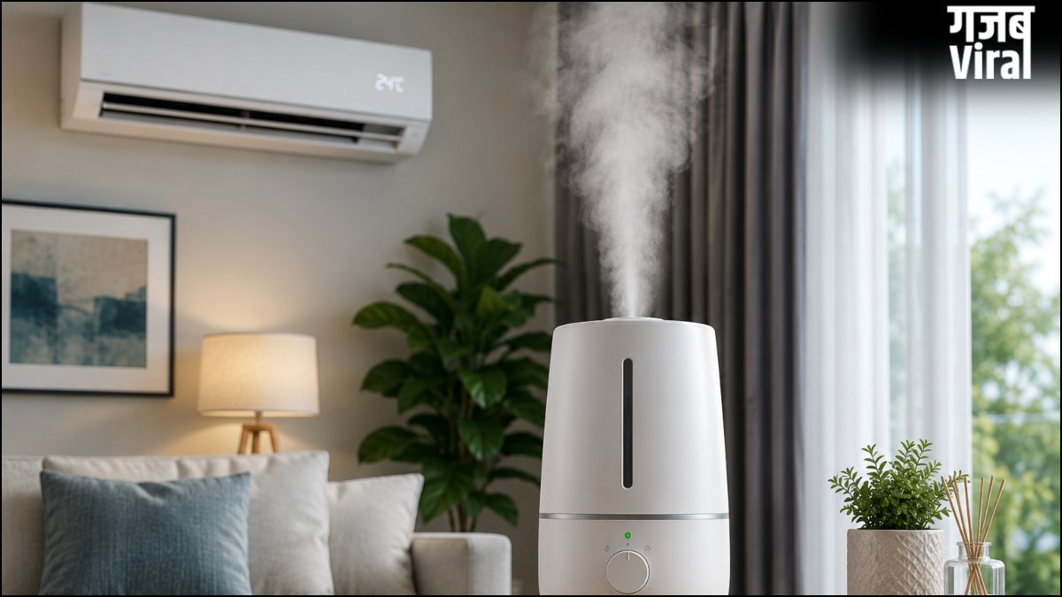 AC के साथ क्या ह्यूमिडफायर लेना जरूरी है, सूखी ठंडी हवा बढ़ा सकती है परेशानी, हो सकती हैं ये समस्याएं​